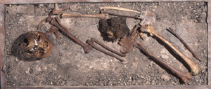 Hallonflickans skelett